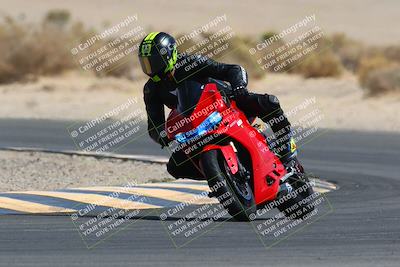 media/Mar-28-2022-Superbike Trackdays (Mon) [[b8603d0f67]]/Open Track Time/Turn 16/